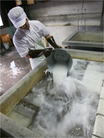 清涼で ふくよかな 蒟蒻のために。